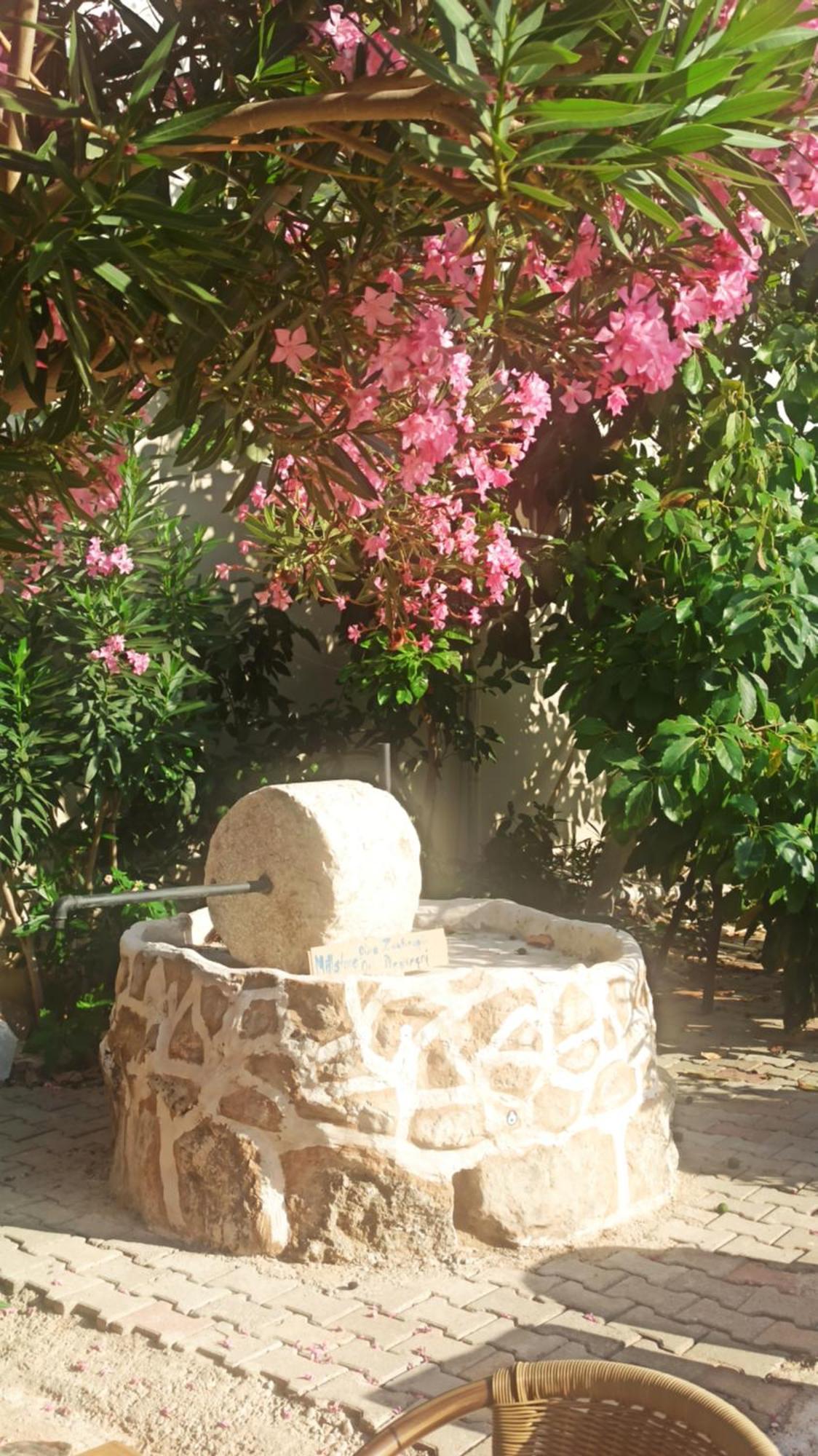 Cc'S Butik Hotel Oludeniz Exterior photo